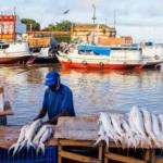 Peixes consumidos em 6 estados da Amazônia têm contaminação por mercúrio acima do limite aceitável, diz Fiocruz