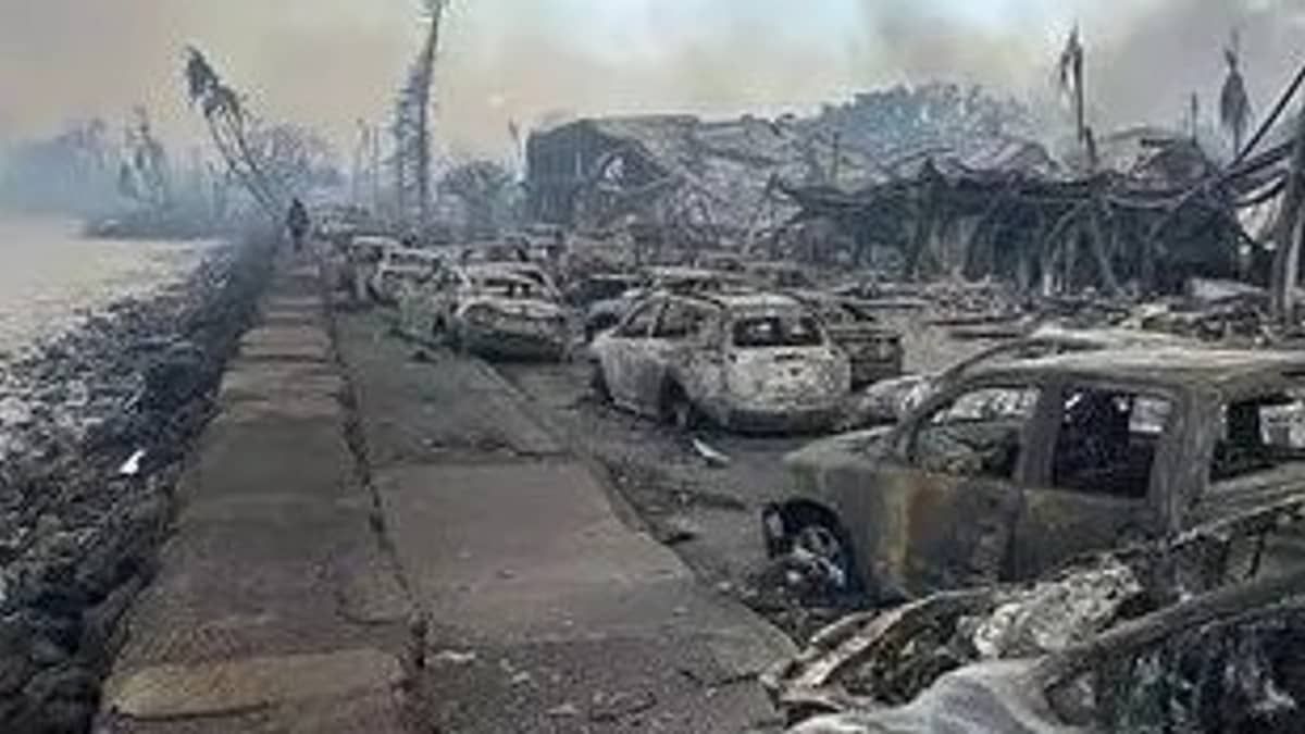 Homem tenta proteger cachorro do fogo e os dois morrem durante incêndios no Havaí  