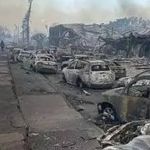 Homem tenta proteger cachorro do fogo e os dois morrem durante incêndios no Havaí  