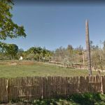 Ossada humana é encontrada em trilha no Sul de Minas Gerais