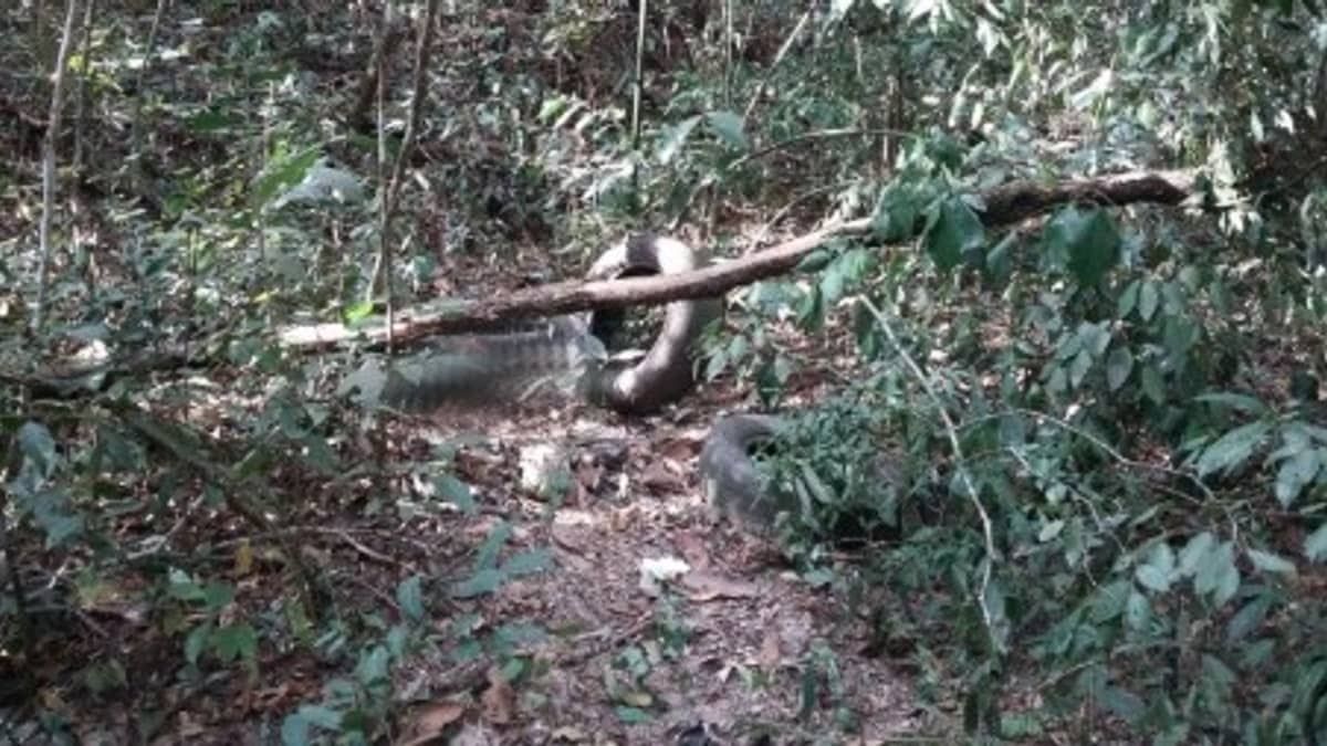 Corpo de adolescente desaparecido em 2013 é encontrado na Grande BH