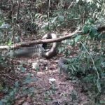 Corpo de adolescente desaparecido em 2013 é encontrado na Grande BH