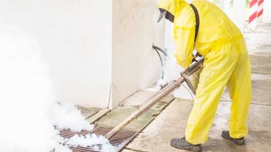 Ouro Preto registra 15 casos e Itabirito, 7 positivos para dengue em 2023