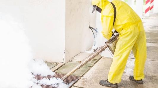Ouro Preto registra 15 casos e Itabirito, 7 positivos para dengue em 2023