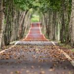 Calor, frio ou chuva? O que esperar do Outono em Minas Gerais