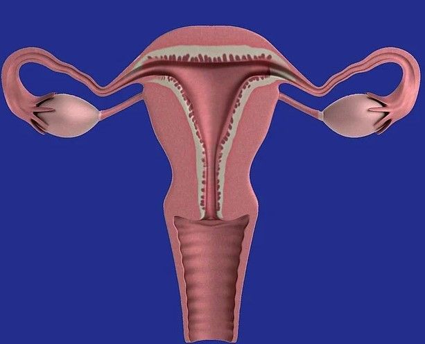 Câncer de ovário: oncologista explica por que diagnóstico precoce é tão difícil