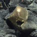 “Ovo dourado“ encontrado no fundo do mar impressiona cientistas, que buscam explicações