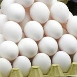 O ovo está mais caro - seguindo o farelo de soja