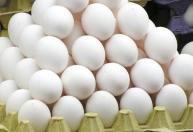 Proteína demais pode atrapalhar o ganho de músculo e aumentar o peso? Entenda