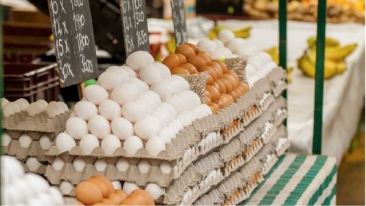 Ovos são ricos proteínas vitaminas e minerais e ainda ajudam a dormir por estimularem a produção de melatonina