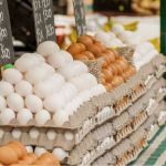 Dia do Ovo é nesta sexta-feira 13 de outubro: teste seus conhecimentos