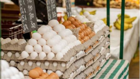 Ovos são ricos proteínas vitaminas e minerais e ainda ajudam a dormir por estimularem a produção de melatonina