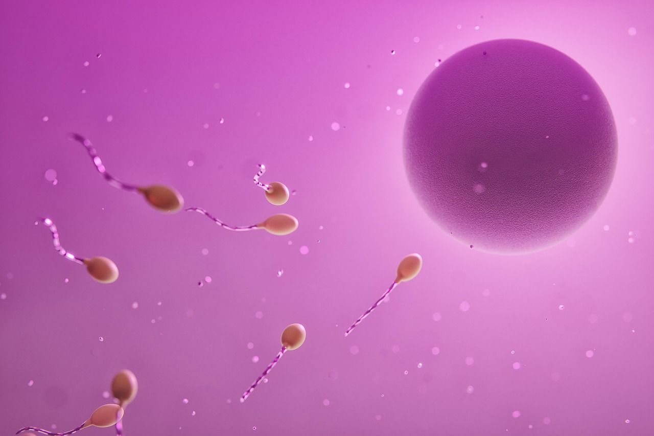 Mulher dá à luz a bebê de outro casal após troca nos embriões em clínica de fertilidade