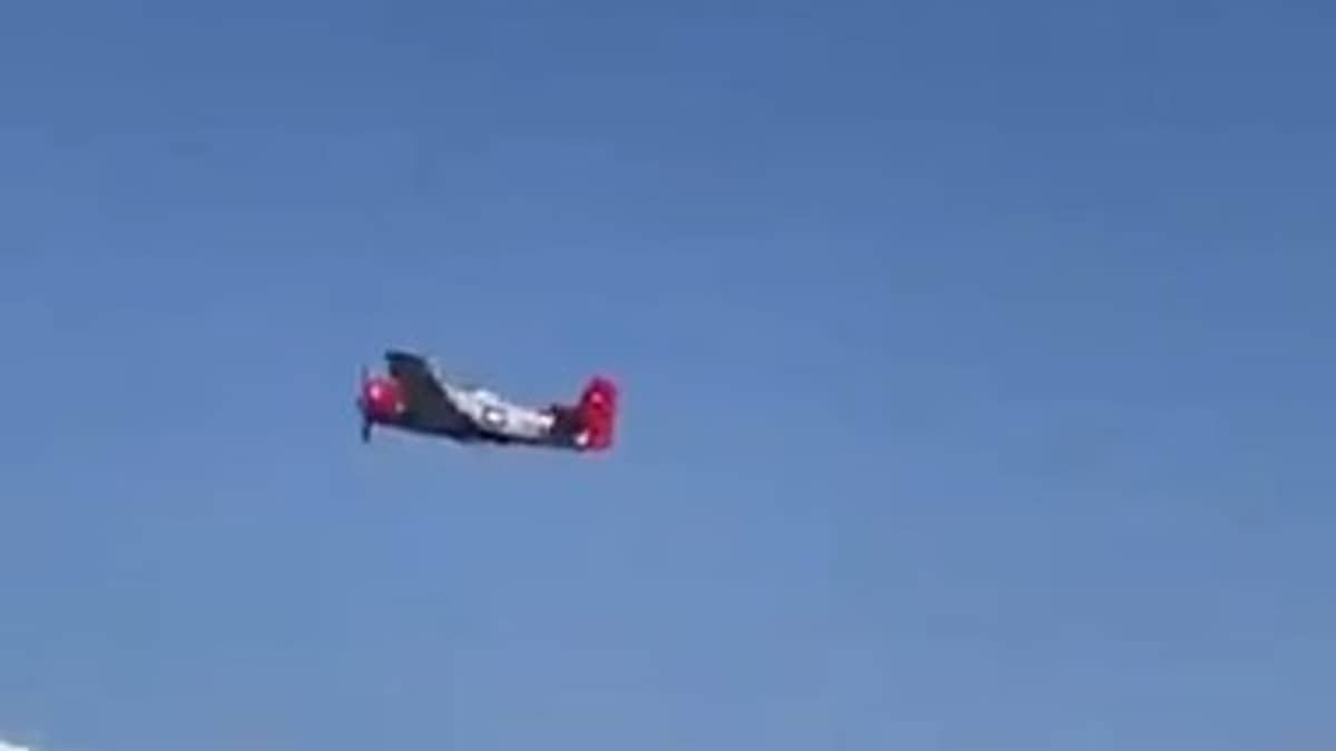 Vídeo: avião cai durante manobras arriscadas em show aéreo e mata pai e filho na Hungria