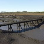 Região mais populosa do Uruguai pode ficar sem ‘água potável’; entenda