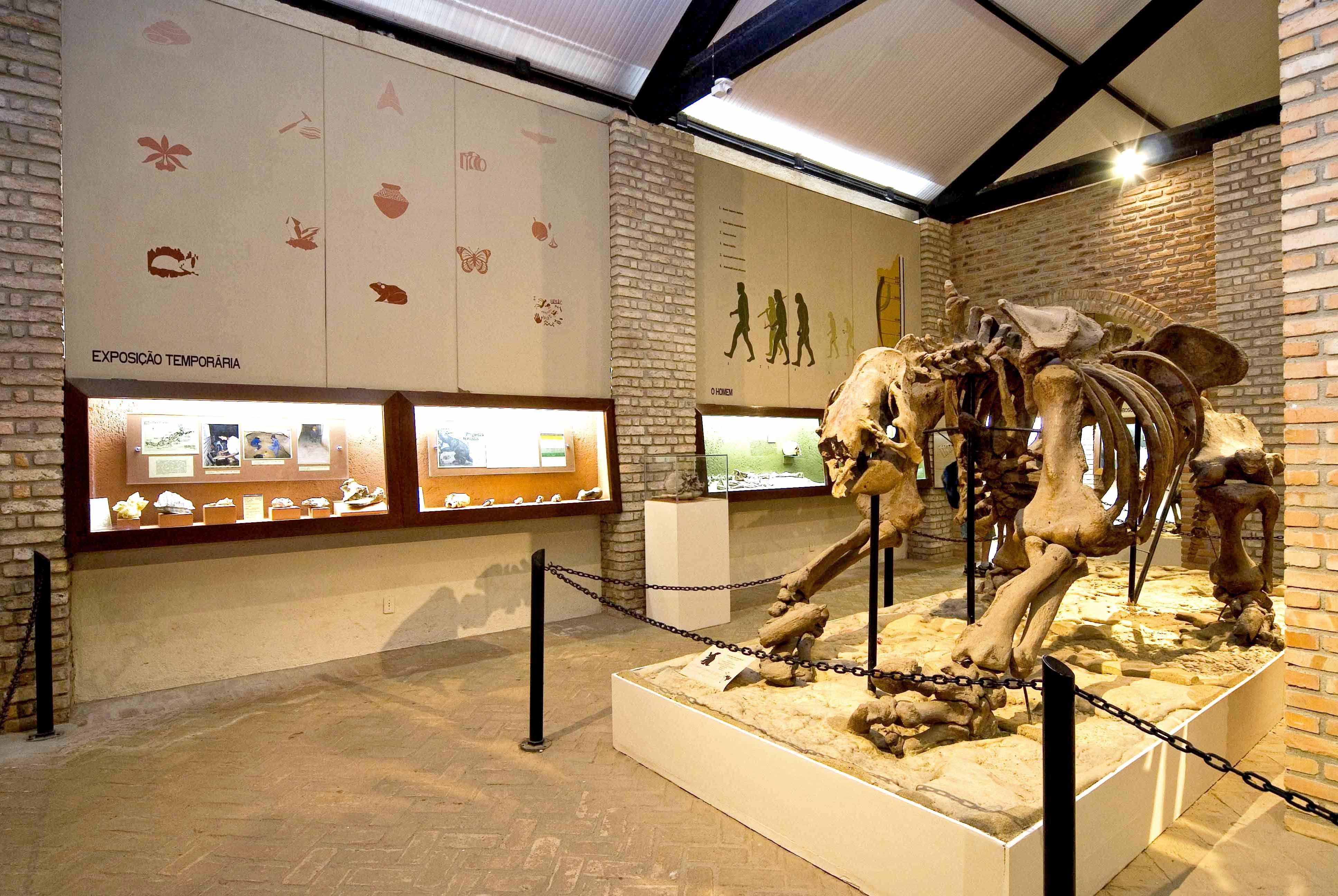 UFMG oferece curso gratuito a distância sobre educação em museus; veja como participar