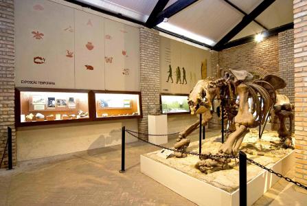 Museu de História Natural e Jardim Botânico