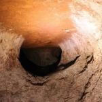 MP pede proteção judicial para escavação feita por Preguiça Gigante na época dos dinossauros; entenda