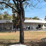 Corpo de Palhinha, ídolo de Cruzeiro, Corinthians e Atlético, é sepultado em BH