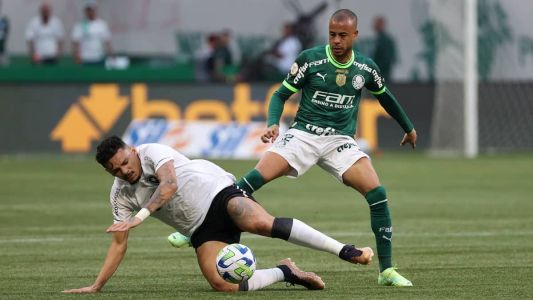 Palmeiras 0 x 1 Botafogo: veja melhores momentos pelo Campeonato Brasileiro