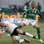 Palmeiras 0 x 1 Botafogo: veja melhores momentos pelo Campeonato Brasileiro