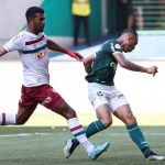 Palmeiras 1 x 0 Fluminense: veja melhores momentos pelo Brasileiro