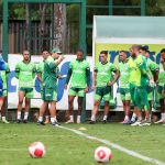 Com 16 atletas do sub-20 e destaque do Paulista, Palmeiras fecha lista para Libertadores