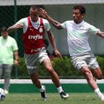 Palmeiras adota nova tecnologia de hidratação com calor em São Paulo