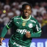 Palmeiras aparece em top-5 de investimento e lucro com a base; veja ranking