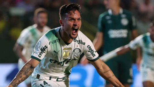 Palmeiras assumiu a segunda colocação do Brasileiro