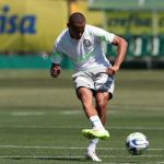 Palmeiras compra mais porcentagem de joia da base