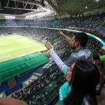 Palmeiras detalha venda de ingressos contra o Vasco no Brasileiro