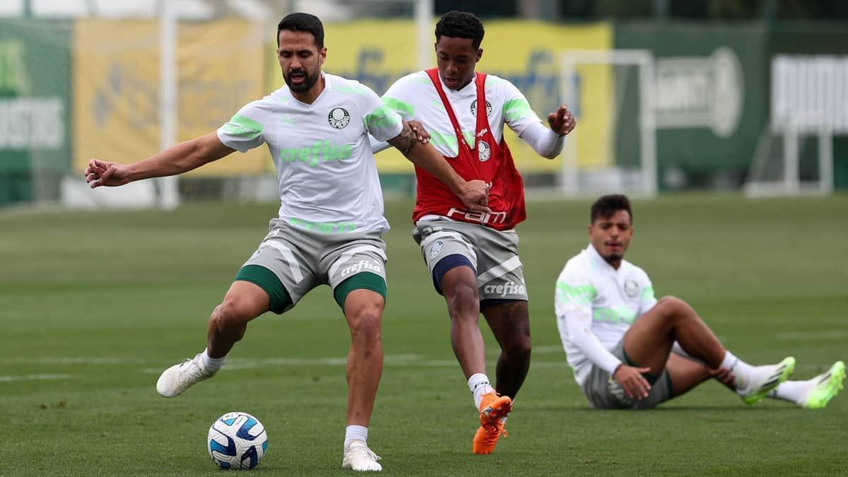 Palmeiras x Atlético: onde assistir ao jogo pela Copa Libertadores