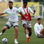 Palmeiras x Atlético: onde assistir ao jogo pela Copa Libertadores
