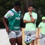 Palmeiras x Santos: onde assistir ao jogo pela Série A