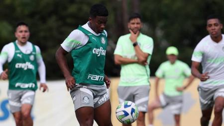 Palmeiras e Santos se enfrentam no Campeonato Brasileiro