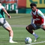 Palmeiras efetiva joia de forma definitiva e treina de olho no América
