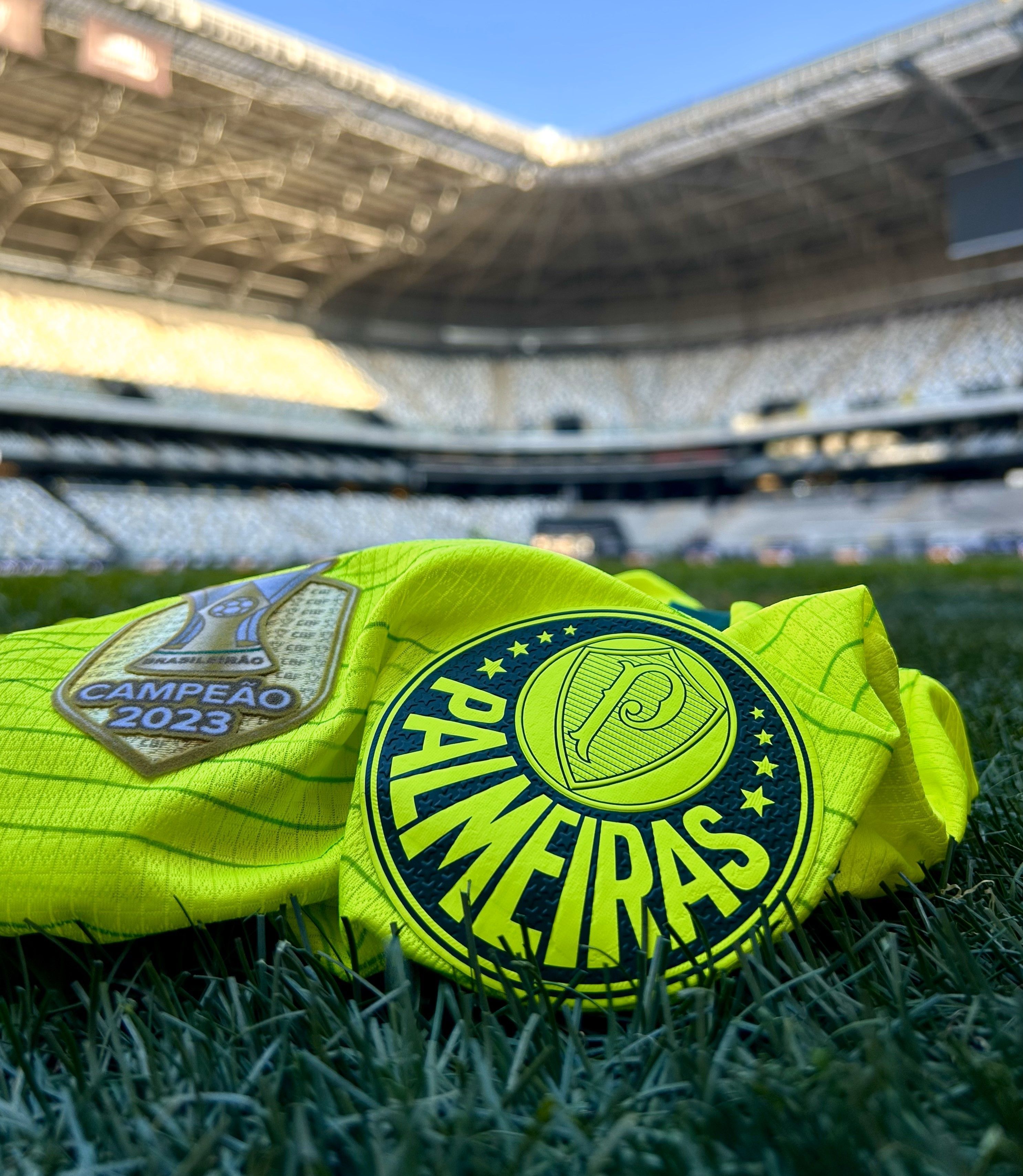 Palmeiras toma decisão sobre torcedor que mostrou pênis a rivais no Allianz