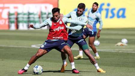 Palmeiras finaliza preparação para enfrentar o Fortaleza na Copa do Brasil