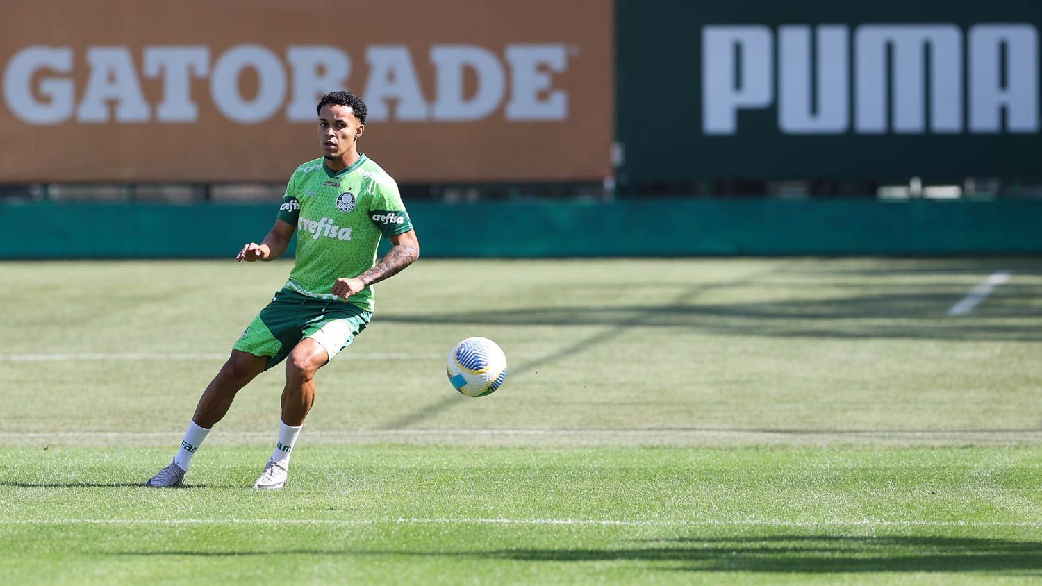 Treino do Palmeiras: atacante avança em recuperação antes de encarar Cruzeiro