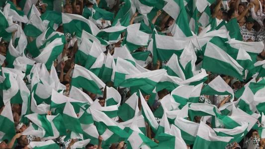 Palmeiras lidera o ranking nacional, com 185.338 sócios-torcedores