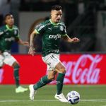 Palmeiras x Goiás: onde assistir ao jogo pela Série A
