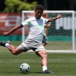 Palmeiras se prepara com desfalques para encarar o Internacional