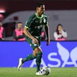 Palmeiras x Flamengo: onde assistir ao jogo pela Série A