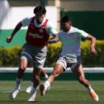 Palmeiras treina com time misto para pegar o Cuiabá