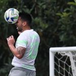 Palmeiras treina com expectativa de reforço na defesa