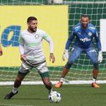 Palmeiras trabalha de olho no São Paulo e Abel deve ter reforços na escalação