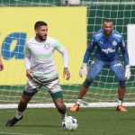 Palmeiras trabalha de olho no São Paulo e Abel deve ter reforços na escalação