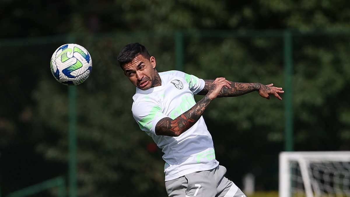 Titulares fazem transição, e Palmeiras deve ter reforços na Libertadores