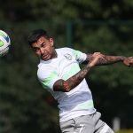 Titulares fazem transição, e Palmeiras deve ter reforços na Libertadores